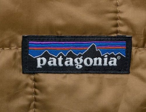 The Transfer of Ownership in the ‘Patagonia Case’: Tax Avoidance or a Step toward a Non-Extractive Economy?